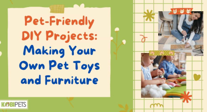 Pet-Friendly DIY Projects: Making Your Own Pet Toys and Furniture