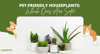 Pet-Friendly Houseplants: Which Ones Are Safe?