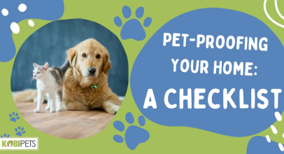 Pet-Proofing Your Home: A Checklist