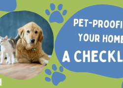 Pet-Proofing Your Home: A Checklist