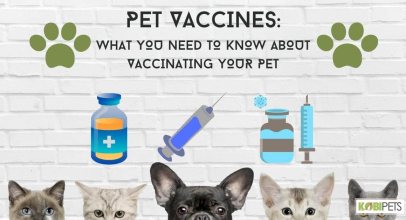 Pet vaccines: What you need to know about vaccinating your pet