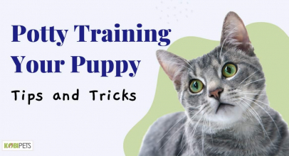 Potty Training Your Puppy: Tips and Tricks