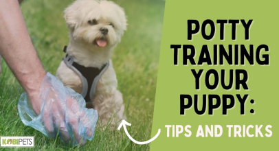 Potty Training Your Puppy: Tips and Tricks