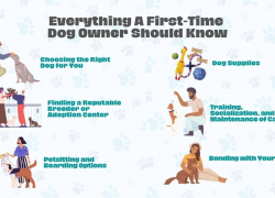 Everything a First-Time Dog Owner Should Know