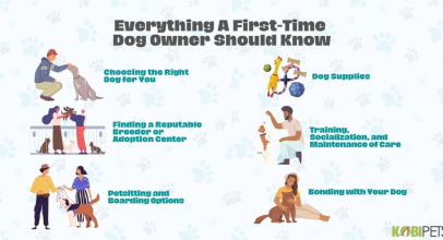 Everything a First-Time Dog Owner Should Know