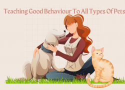Teaching Good Behaviour To All Types Of Pets