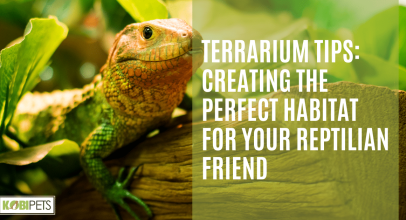 Terrarium Tips: Creating the Perfect Habitat for Your Reptilian Friend