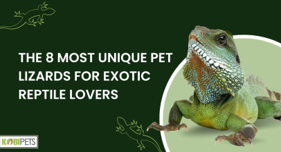 The 8 Most Unique Pet Lizards for Exotic Reptile Lovers