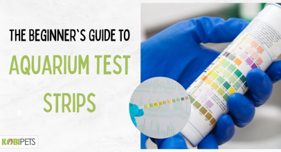 The Beginner’s Guide to Aquarium Test Strips