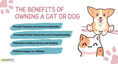 The Benefits of Owning a Cat or Dog