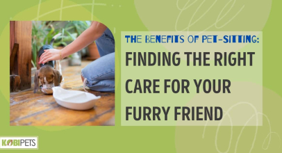 The Benefits of Pet-Sitting: Finding the Right Care for Your Furry Friend