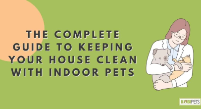The Complete Guide to Keeping Your House Clean With Indoor Pets