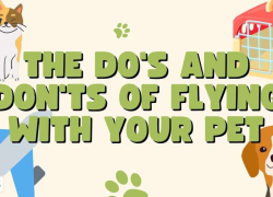 The Do’s and Don’ts of Flying with Your Pet