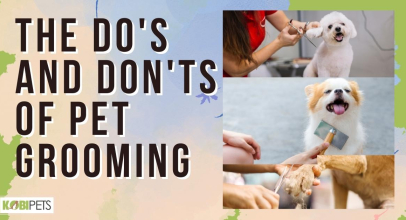 The Do’s and Don’ts of Pet Grooming