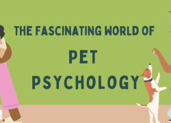 The Fascinating World of Pet Psychology