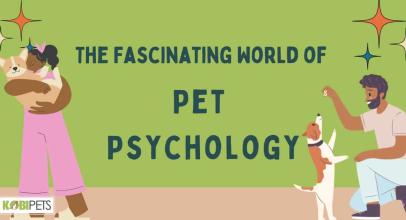 The Fascinating World of Pet Psychology