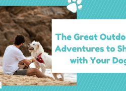 The Great Outdoors: Adventures to Share with Your Dog