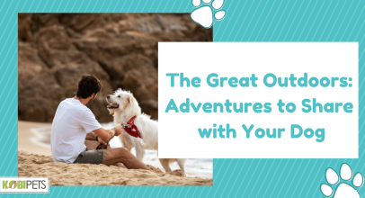 The Great Outdoors: Adventures to Share with Your Dog