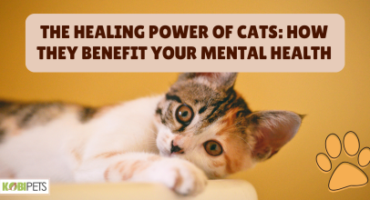 The Healing Power of Cats: How They Benefit Your Mental Health