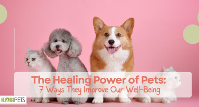 The Healing Power of Pets: 7 Ways They Improve Our Well-Being