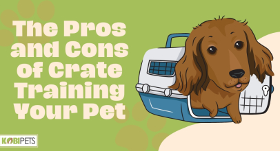The Pros and Cons of Crate Training Your Pet