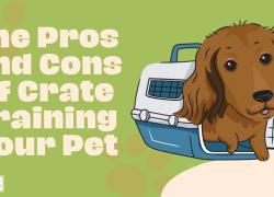 The Pros and Cons of Crate Training Your Pet