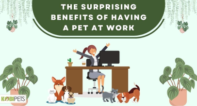 The Surprising Benefits of Having a Pet at Work