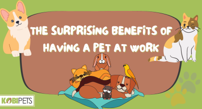 The Surprising Benefits of Having a Pet at Work