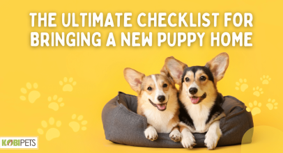 The Ultimate Checklist for Bringing a New Puppy Home