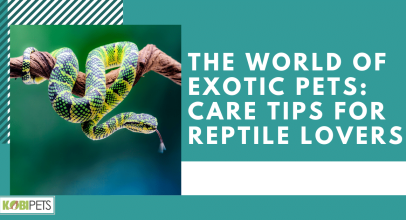 The World of Exotic Pets: Care Tips for Reptile Lovers