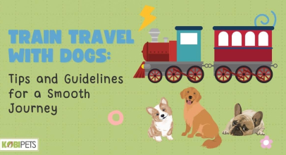 Train Travel with Dogs: Tips and Guidelines for a Smooth Journey