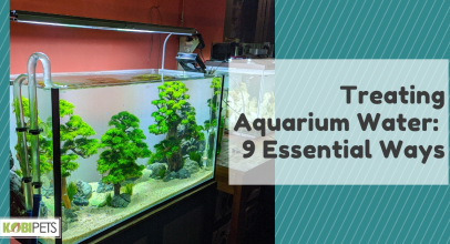Treating Aquarium Water: 9 Essential Ways