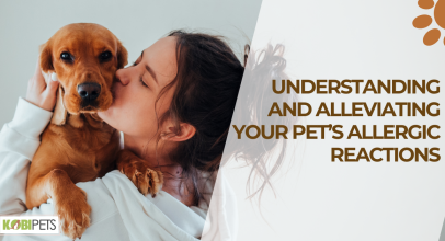 Understanding and Alleviating Your Pet’s Allergic Reactions