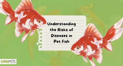 Understanding the Risks of Diseases in Pet Fish