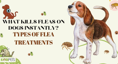 What Kills Fleas On Dogs Instantly? Types of Flea Treatments