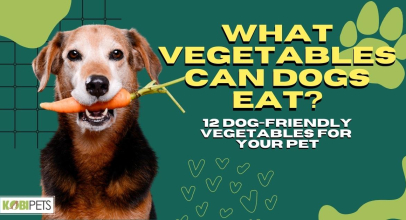 What Vegetables Can Dogs Eat? 12 Dog-Friendly Vegetables For Your Pet