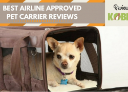 Best Airline Approved Pet Carrier Reviews