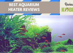Best Aquarium Heater Reviews