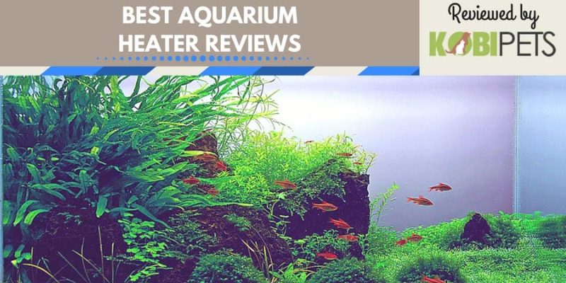 Best Aquarium Heater Reviews