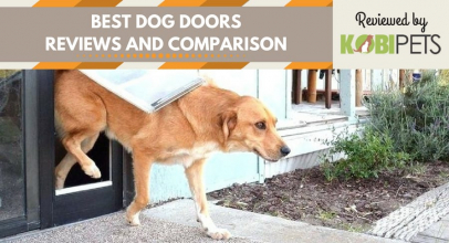 Best Dog Doors – Our Top 5 Picks for 2018